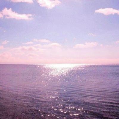 双赢彩票官方网站手机app下载